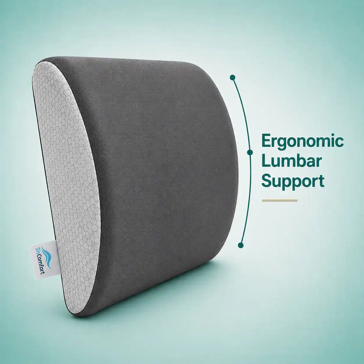A curved lumbar support pillow in dark gray with a white honeycomb-textured side, shown on a light teal background with the text 'Ergonomic Lumbar Support' and a small visible 'Ergonomic Lumbrar Support' tag.