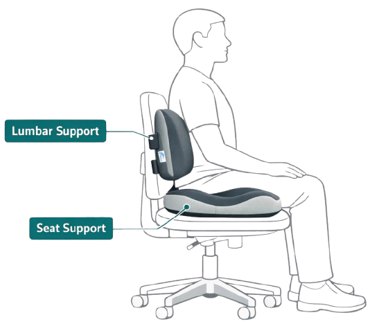 Chair diagram showing lumbar and seat support