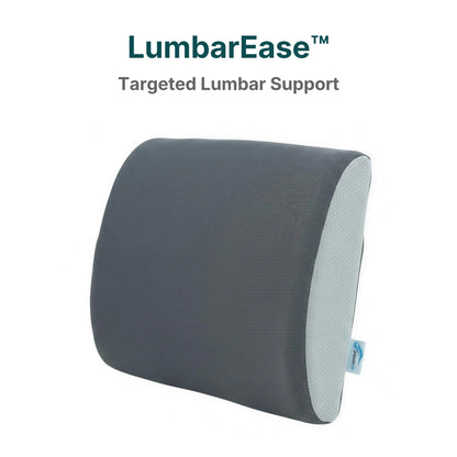 LumbarEase Targeted Lumbar Support pillow in dark gray with a light gray textured side, shown on a white background with the brand name and product name text above.