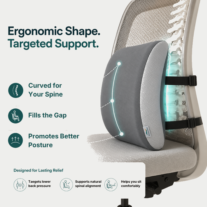 LumbarEase™ Lumbar Support